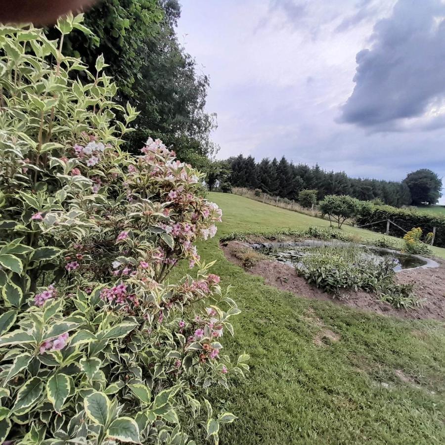Le Gite Pierre Et Bois Houffalize Zewnętrze zdjęcie
